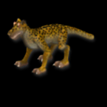 BL's Kitten.png