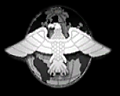 ACCM_Eagle-HD.png