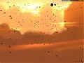 ss00047.jpg