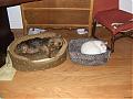 cimg0761rr6.jpg