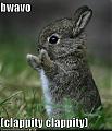 Bravo_Bunny.jpg