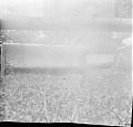 Copia de img134.jpg