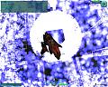screen41.png