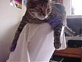 Copy of DSC02049.JPG