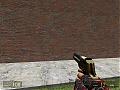 DragonDeagle.jpg